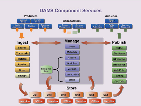 Figure 2. Components and consumers of DAM services provided by the University of Michigans digital asset management system (DAMS)