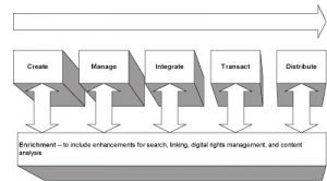 5 stages of content management