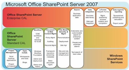 SharePoint server 2007